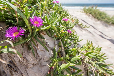 Fort Bribie - SA Accommodation 0