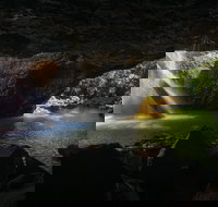 Gondwana Rainforests of Australia World Heritage Area - SA Accommodation