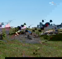 Jim Salmon  Wetland Education Site - SA Accommodation