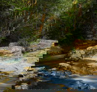 Jumrum Creek Walk Jumrum Creek Conservation Park - SA Accommodation