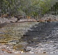 Lake Rowallan - SA Accommodation