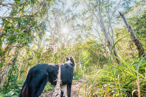 Lamb Island (Nguderoo) - SA Accommodation 1