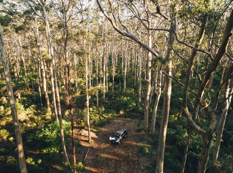 Leeuwin-Naturaliste National Park - Cowaramup - SA Accommodation 0