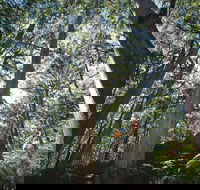 Leeuwin-Naturaliste National Park - Leeuwin - SA Accommodation