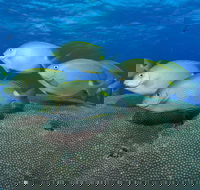 Lodestone Reef - SA Accommodation