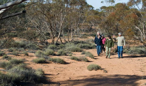 Mallee Stop Walking Track - SA Accommodation 0