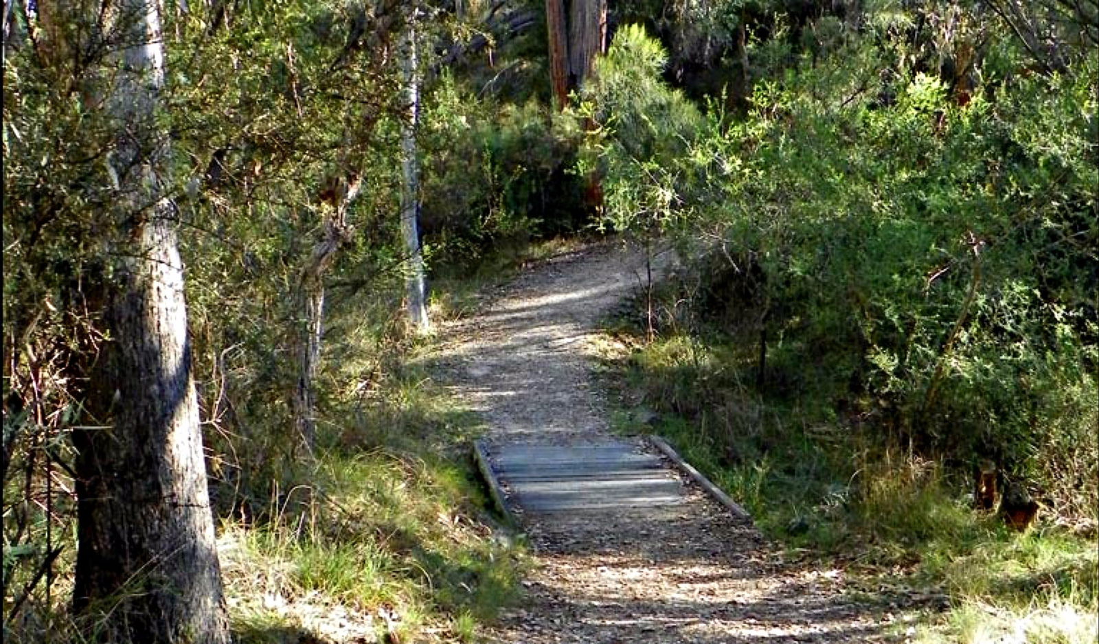 Dangarsleigh NSW SA Accommodation