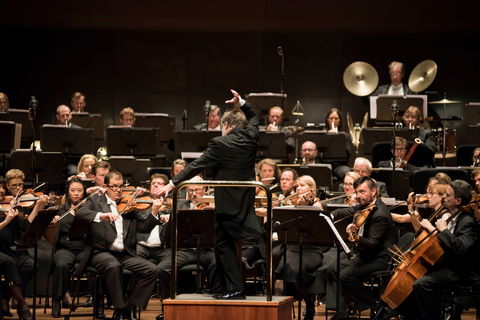 Melbourne Symphony Orchestra - SA Accommodation 0