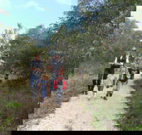 Meningie Lions Walking Trail - SA Accommodation