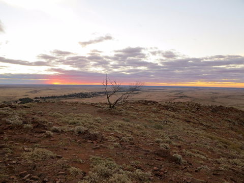 Mundi Mundi Plains - SA Accommodation 0
