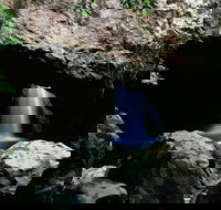 Natural Bridge Circuit Springbrook National Park - SA Accommodation