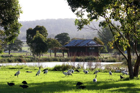 Panboola Wetlands - SA Accommodation 1