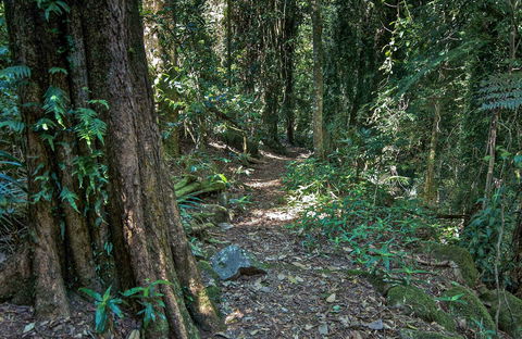 Pholis Gap Walking Track - SA Accommodation 0