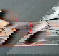 Phoenix Creations - SA Accommodation