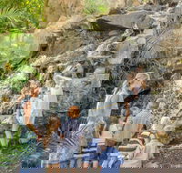 Queens Park Waterfall - SA Accommodation
