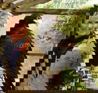 Raptor Domain - SA Accommodation