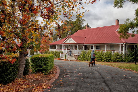 Ringsfield House, Nanango - SA Accommodation 1