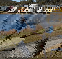 Sculpture Trail at Lake Crackenback Resort and Spa - SA Accommodation