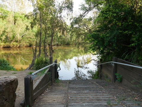 Shapcott Park - SA Accommodation 0