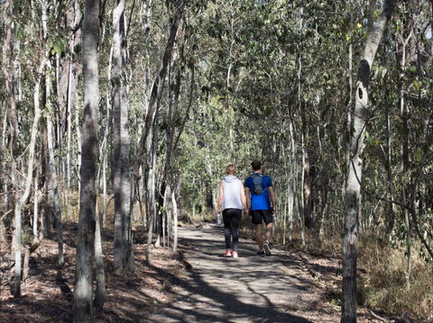 Six Mile Creek, Bluff Lookout And Little White Rock Trails - SA Accommodation 0