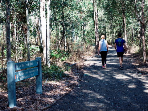 Six Mile Creek, Bluff Lookout And Little White Rock Trails - SA Accommodation 2