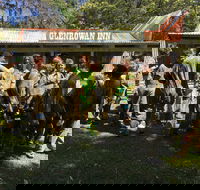 Skirmish Ulladulla - SA Accommodation