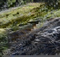 Terramungamine Rock Grooves - SA Accommodation