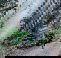 The Corn Trail Walking Track - SA Accommodation