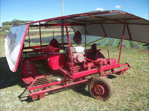 The Super Strawberry - SA Accommodation 2