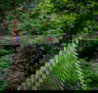 Thunderbird Park  - Tamborine Mountain Gold Coast Region - SA Accommodation
