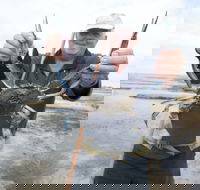 Tiddy Widdy Beach - SA Accommodation