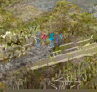 Walpole Wilderness Discovery Centre - SA Accommodation