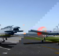 Warrior Warbirds - Open - SA Accommodation