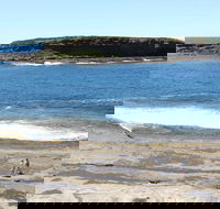Wasp Head Picnic Area - SA Accommodation