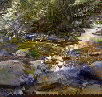 Washpool Walking Track - SA Accommodation