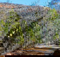 Weddin Gap to Black Spring Loop Trail - SA Accommodation