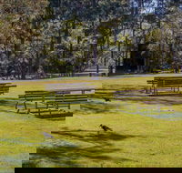 Wombeyan picnic area - SA Accommodation