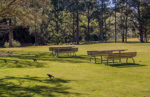 Wombeyan Picnic Area - SA Accommodation 0
