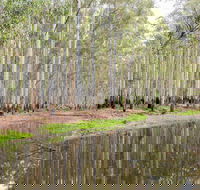 Wonga Wetlands - SA Accommodation
