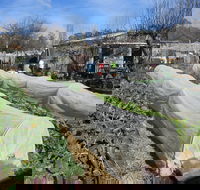 Wynlen House Tour a Unique Urban Regenerative Farm and Market Garden - SA Accommodation