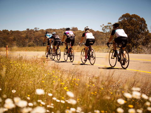 7 Peaks Ride - Dinner Plain - SA Accommodation 0