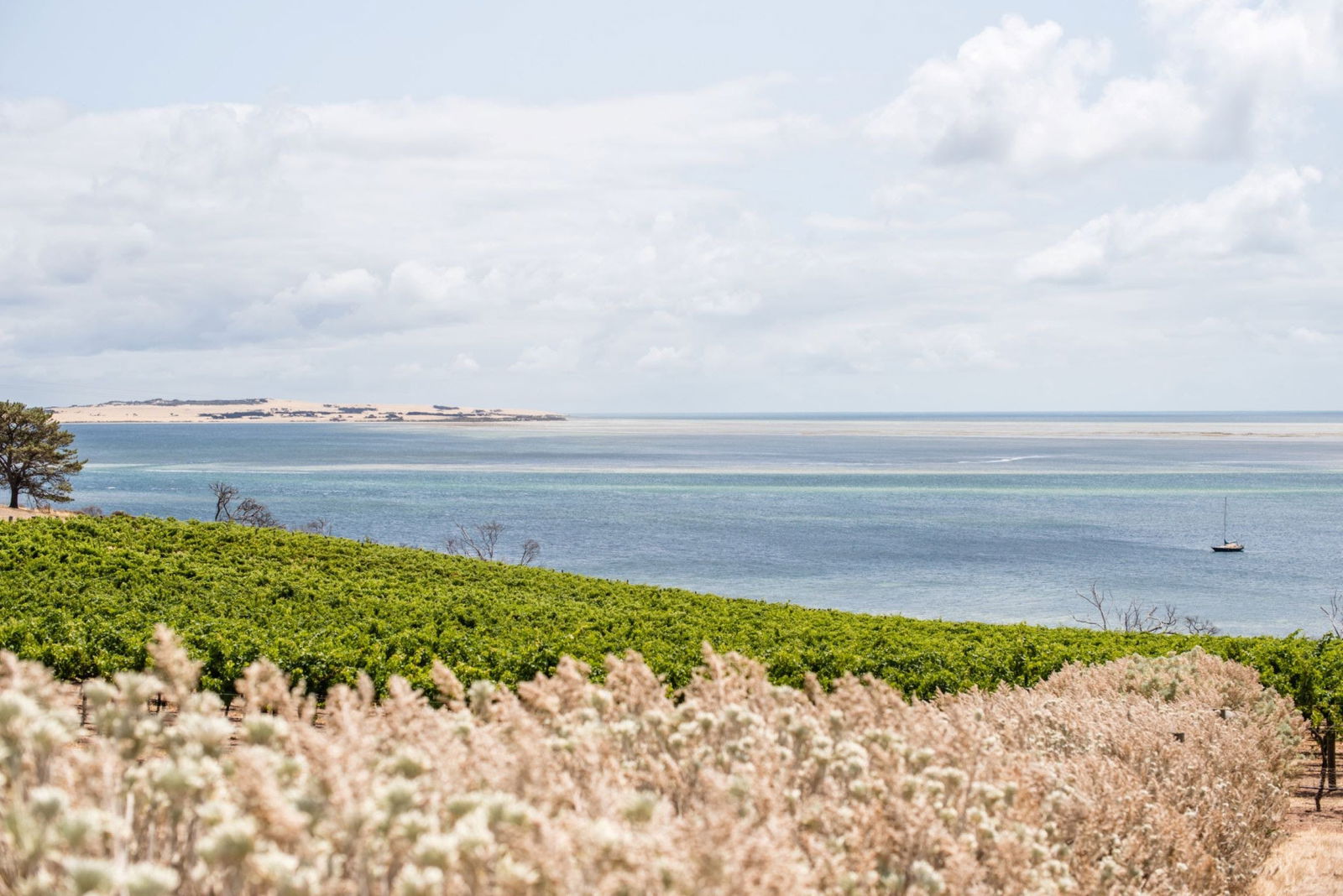 Bay Of Shoals SA SA Accommodation