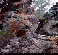 Bertha's Gully Walking Track - SA Accommodation