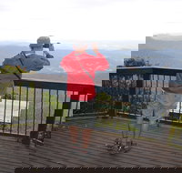 Best of All lookout track Springbrook National Park - SA Accommodation