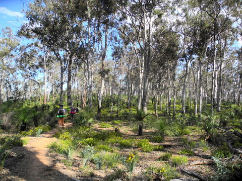 Bibbulmun Track - SA Accommodation 1