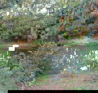 Birdwing Butterfly Walk - SA Accommodation