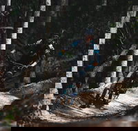 Boomerang Farm Bike Park - SA Accommodation