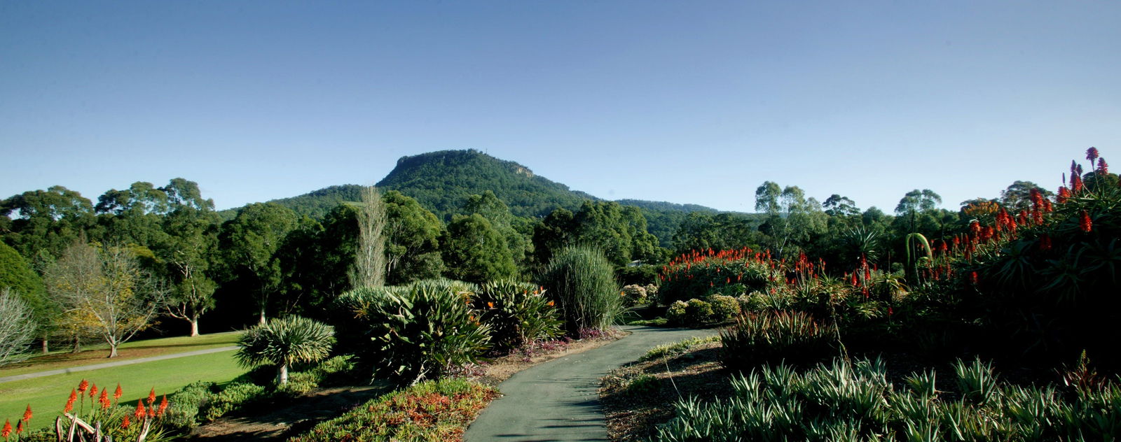 Keiraville NSW SA Accommodation