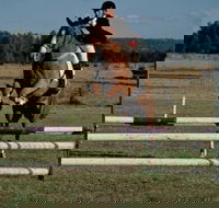 Camden Bicentennial Equestrian Park - SA Accommodation