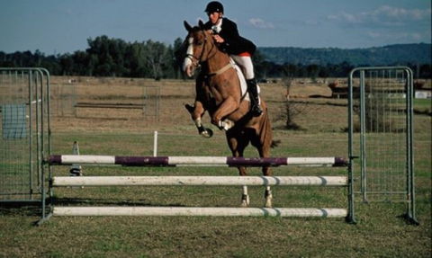 Camden Bicentennial Equestrian Park - SA Accommodation 0
